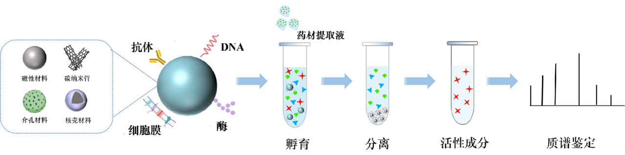 我院赵龙山教授在《健康中国观察》发表封面文章:靶向垂钓技术驱动中医药在精准医疗中蓬勃发展-沈阳药科大学药学院